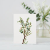 Carte Postale Simple Juniper Vintage de montagne (Debout devant)