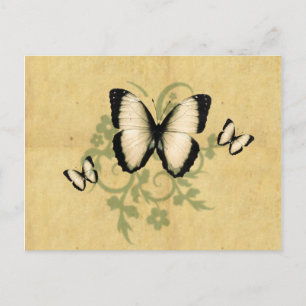 Carte postale simple papillon