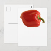 Carte Postale Simple Photo de Poivron Rouge sur Fond Blanc (Devant / Derrière)