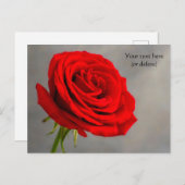 Carte postale simple Rose rouge (Devant / Derrière)