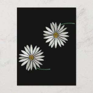 Carte Postale Simplement des marguerites