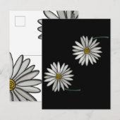 Carte Postale Simplement des marguerites (Devant / Derrière)