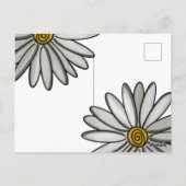 Carte Postale Simplement des marguerites (Dos)