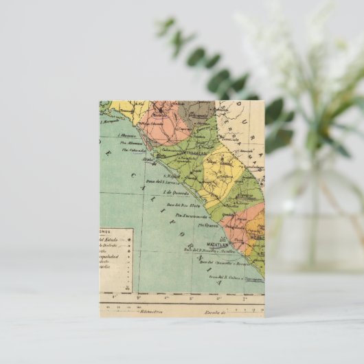 Carte Postale Sinaloa, Mexique (Debout devant)