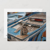 Carte postale Sinbad the Sailor Cat (Devant / Derrière)