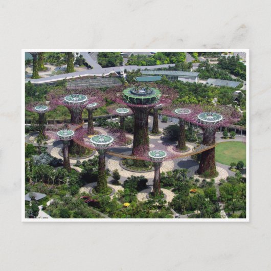 Carte Postale singapour (Devant)