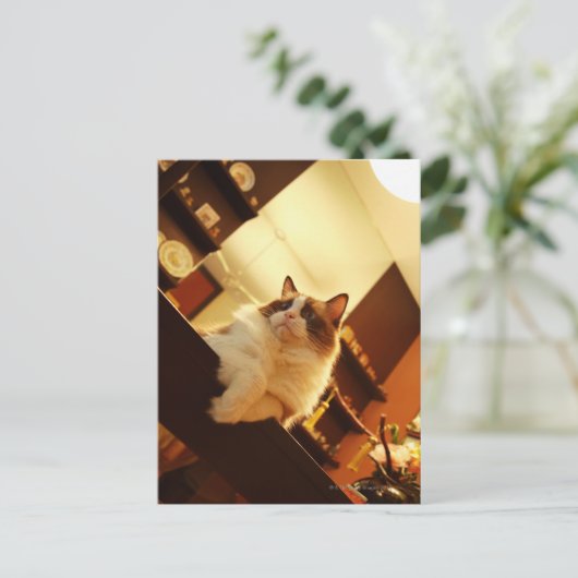 Carte Postale Singapour 6 (Debout devant)