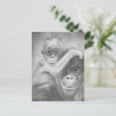 Carte Postale Singe (Debout devant)