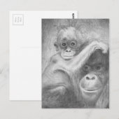 Carte Postale Singe (Devant / Derrière)