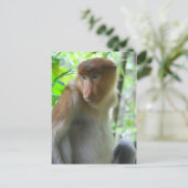 Carte Postale Singe (Debout devant)