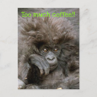 Carte postale singe à cheveux fous trop de café