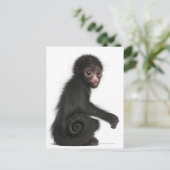 Carte Postale Singe à tête rouge - Ateles paniscus (3 (Debout devant)