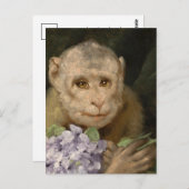 Carte Postale Singe avec un bouquet de violettes | Gabriel von M (Devant / Derrière)