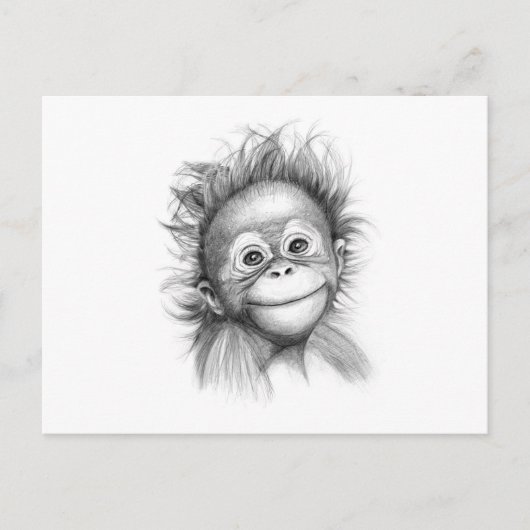 Carte Postale Singe - Baby Orang devant le G-121 2016 (Devant)