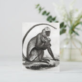 Carte Postale Singe Brésilien (Debout devant)