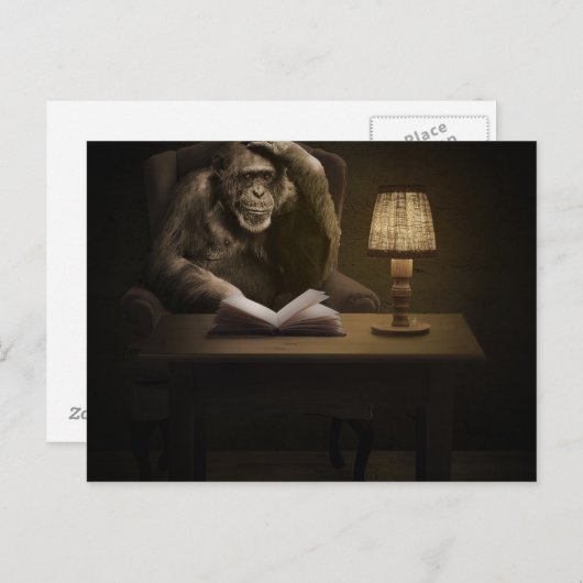 Carte Postale Singe de Chimpanzé Ape (Devant / Derrière)