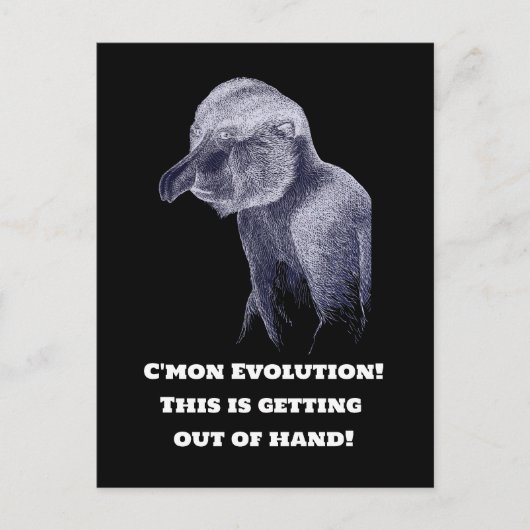 Carte Postale Singe de l'évolution (Devant)