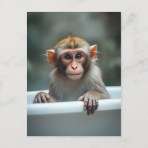 Carte Postale Singe drôle dans la salle de bain