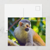 Carte Postale Singe écureuil à Manuel Antonio NP - Costa Rica (Devant / Derrière)