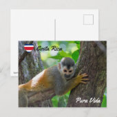 Carte Postale Singe écureuil à Manuel Antonio NP - Costa Rica (Devant / Derrière)