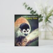 Carte Postale Singe écureuil dans l'arbre (Debout devant)
