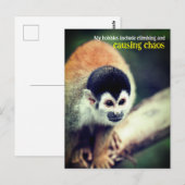Carte Postale Singe écureuil dans l'arbre (Devant / Derrière)