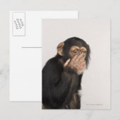 Carte Postale Singe frottant son visage (Devant / Derrière)