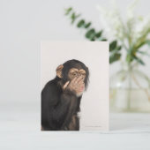 Carte Postale Singe frottant son visage (Debout devant)