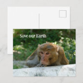 Carte Postale Singe - Grand-père (Devant / Derrière)