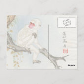 Carte Postale Singe japonais (Dos)