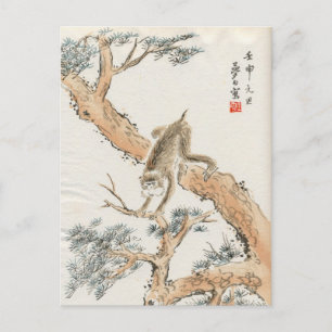 Carte Postale Singe japonais