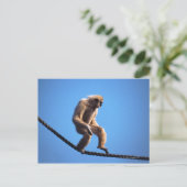 Carte Postale Singe marchant sur la corde (Debout devant)