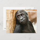 Carte Postale Singe noir de bébé (Devant / Derrière)