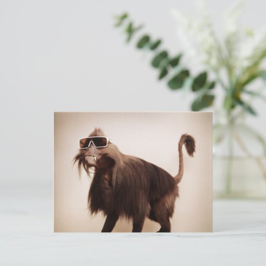 Carte Postale singe soleil (Debout devant)