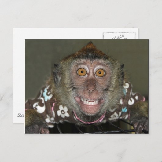 Carte Postale Singe souriant (Devant / Derrière)