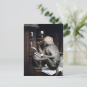 Carte Postale Singe souriant (Debout devant)