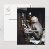 Carte Postale Singe souriant (Devant / Derrière)