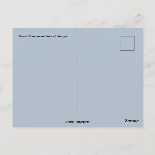 Carte Postale Singe Vervet à Nairobi Kenya (Dos)