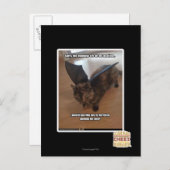 Carte Postale Singes des vacances (Devant / Derrière)