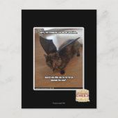 Carte Postale Singes des vacances (Devant)