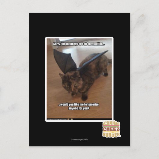 Carte Postale Singes des vacances (Devant)