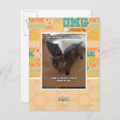 Carte Postale Singes des vacances (Devant / Derrière)