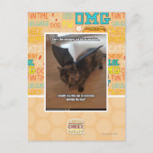 Carte Postale Singes des vacances (Devant)