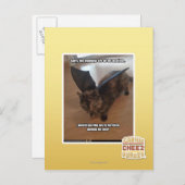 Carte Postale Singes des vacances (Devant / Derrière)