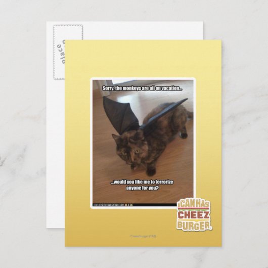 Carte Postale Singes des vacances (Devant / Derrière)