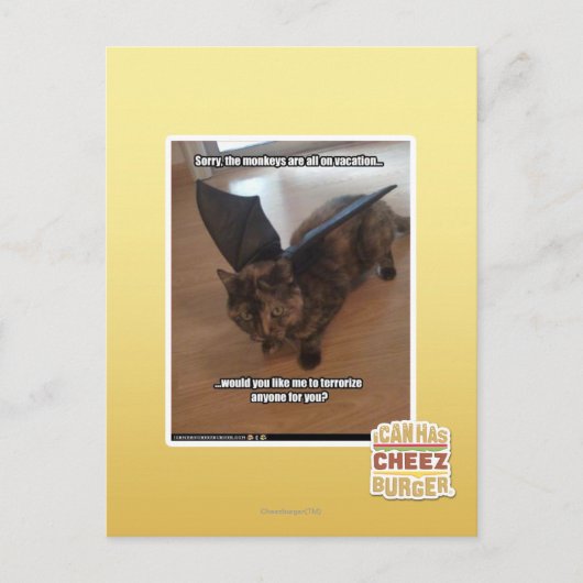 Carte Postale Singes des vacances (Devant)