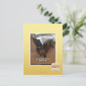 Carte Postale Singes des vacances (Debout devant)