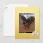 Carte Postale Singes des vacances (Devant / Derrière)