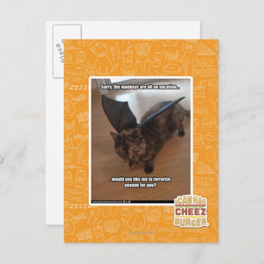 Carte Postale Singes en vacances (Devant / Derrière)