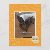 Carte Postale Singes en vacances (Devant)